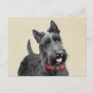 Cartão Postal Pintura de Terrier escocês - Arte de cão original