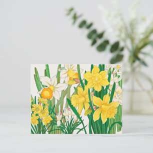 Cartão Postal Pintura de Xilogravura de Narciso