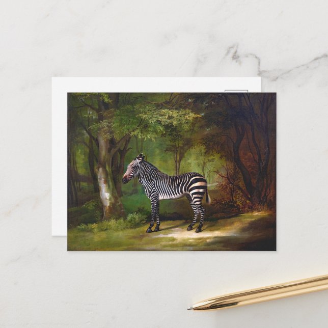 Cartão Postal Pintura de Zebra (1763) de George Stubbs (Frente/Verso In Situ)