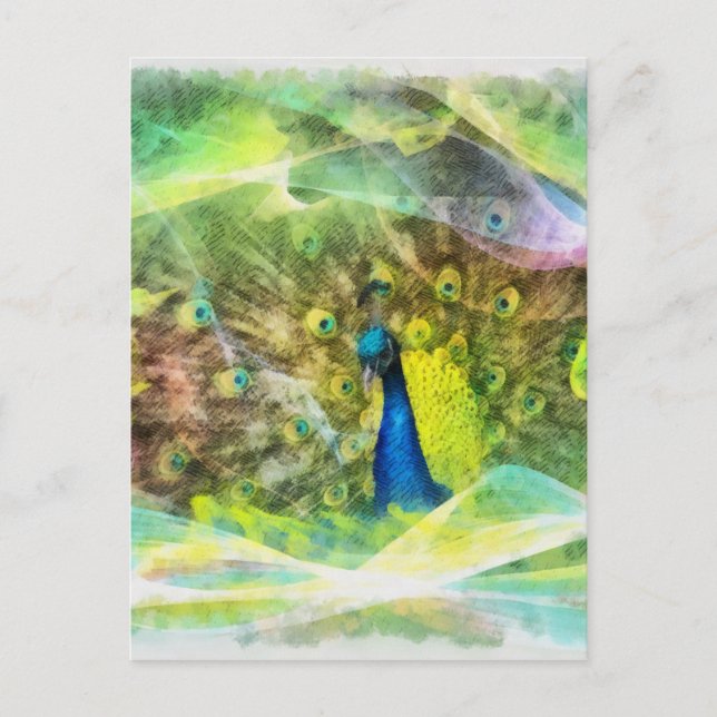 Cartão Postal Pintura digital Peacock (Frente)