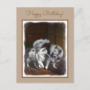 Cartão Postal Pintura do Keeshond na Hora do Jogo - Arte Origina