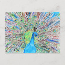 Cartão Postal Pintura do Peacock de Aquarela