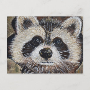 Cartão Postal Pintura do Raccoon