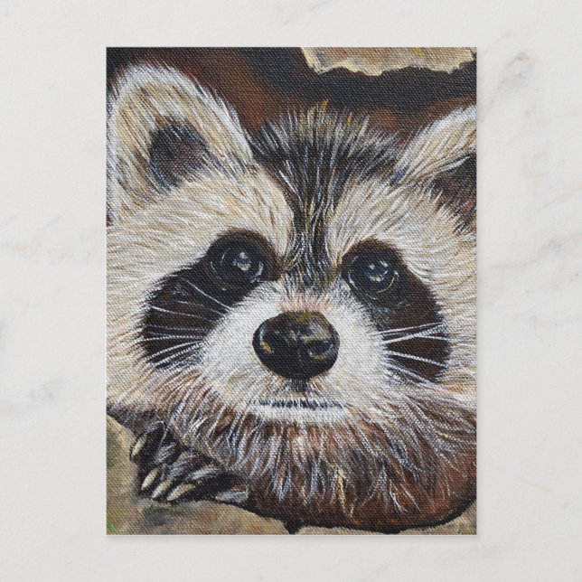 Cartão Postal Pintura do Raccoon (Frente)