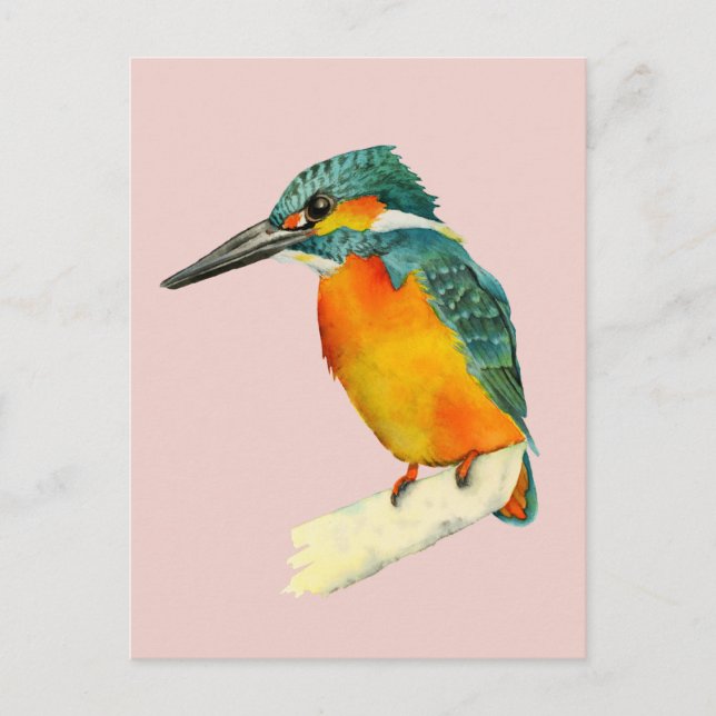 Cartão Postal Pintura em Aquarela de Kingfisher (Frente)