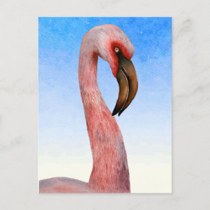 Cartão Postal Pintura em Aquarela de Pássaro Flamingo Rosa