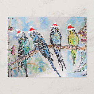 Cartão Postal Pintura em aquarela de periquito Natal de periquit