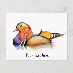 Cartão Postal Pintura em Aquarela do Pato Mandarin