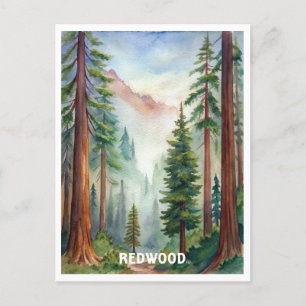 Cartão Postal Pintura em Aquarela no Parque Nacional da Sequoia
