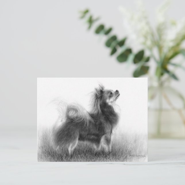 Cartão Postal Pintura em Chihuahua original (Em pé/Frente)