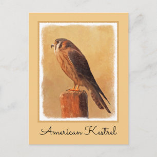 Cartão Postal Pintura em Kestrel Americano - Arte original sobre