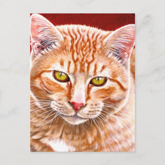 Cartão Postal Pintura em Laranja Tabby