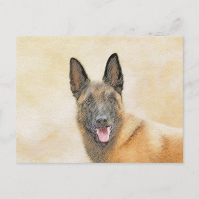 Cartão Postal Pintura em Malinois Belga - Arte Cachorra Original (Frente)