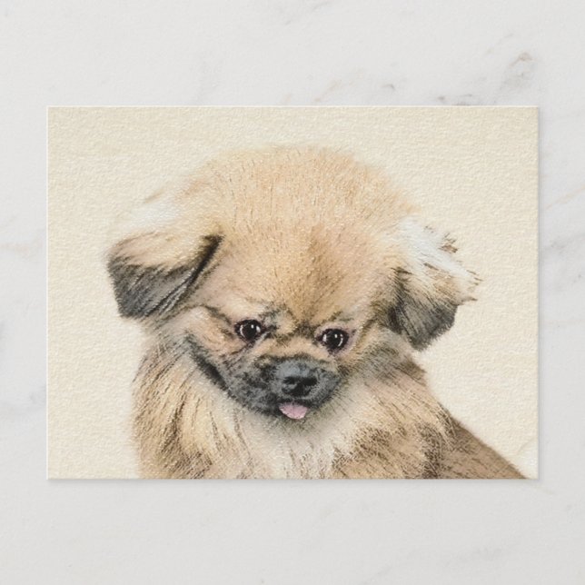 Cartão Postal Pintura em Pekingese - Arte Cachorra Original (Frente)