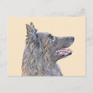 Cartão Postal Pintura em Tervuren Belga - Arte Cachorra Original