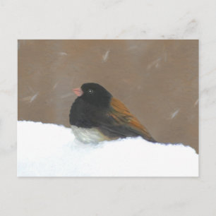 Cartão Postal Pintura Junco De Olhos Escuros - Arte De Pássaro