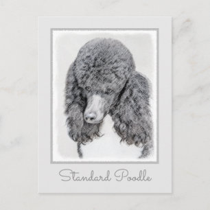 Cartão Postal Pintura Negra De Poodle Padrão - Arte Cão