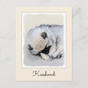 Cartão Postal Pintura Original de Cachorro Keeshond Dormindo - A