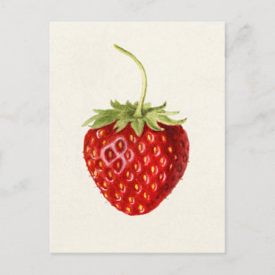 Cartão Postal Pintura por Aquarela (Fragaria) Fruta