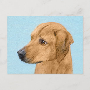 Cartão Postal Pintura Ridgeback da Rodésia - Arte Cachorra Origi
