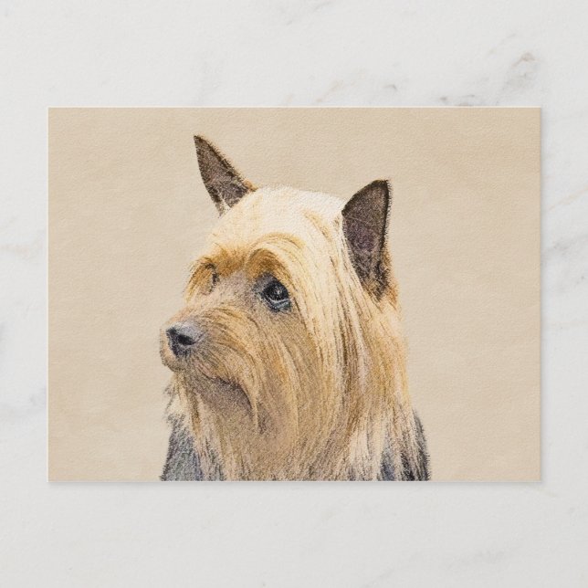 Cartão Postal Pintura Silky Terrier - Arte Cachorro Original Cac (Frente)