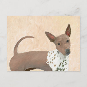 Cartão Postal Pintura Terrier sem cabelos americana - Arte canin