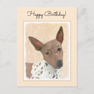 Cartão Postal Pintura Terrier sem cabelos americana - Arte canin