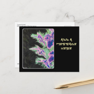 Cartão Postal Pintura 'Tropical Orchid' em um 