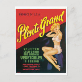 Cartão Postal Pinup da Arizona Plenti Grand Watsonville Californ