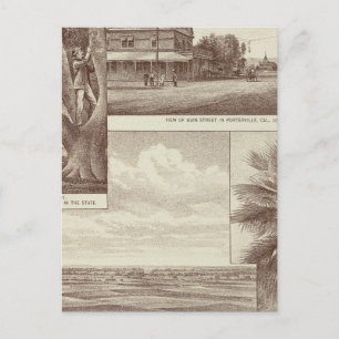 Cartão Postal Pioneer Land Co tract, Porterville