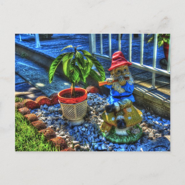 Cartão Postal Piper Gnome - (Frente)