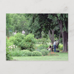 Cartão Postal Piquenique no Parque