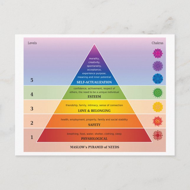 Cartão Postal Pirâmide de Necessidades de Maslow Diagrama/Gráfic (Frente)