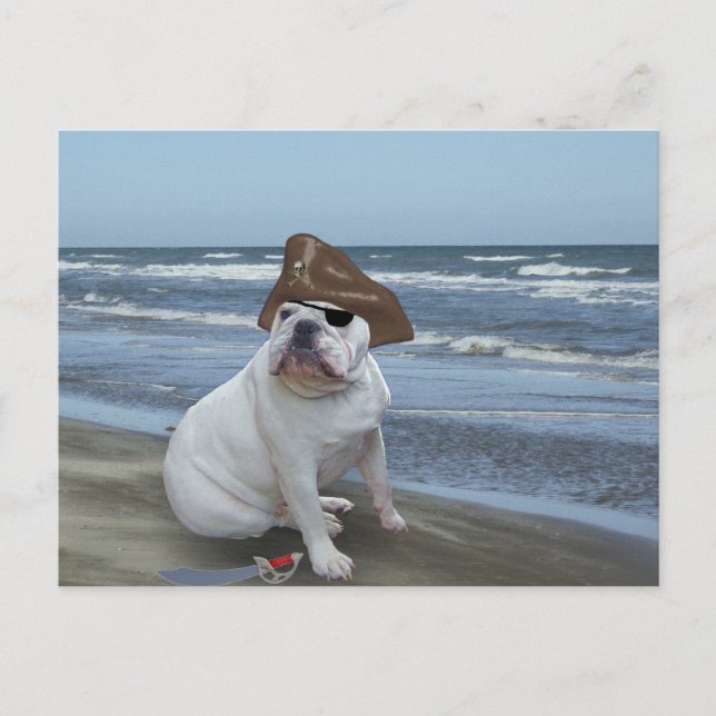 Cartão Postal Pirata Bulldog na praia (Frente)