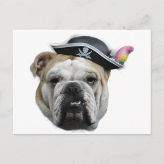Cartão Postal Pirate Bulldog