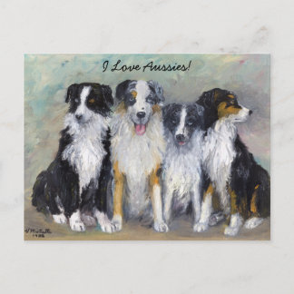 Cartão Postal Pirate e Filhas - Australian Shepherds