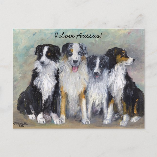 Cartão Postal Pirate e Filhas - Australian Shepherds (Frente)
