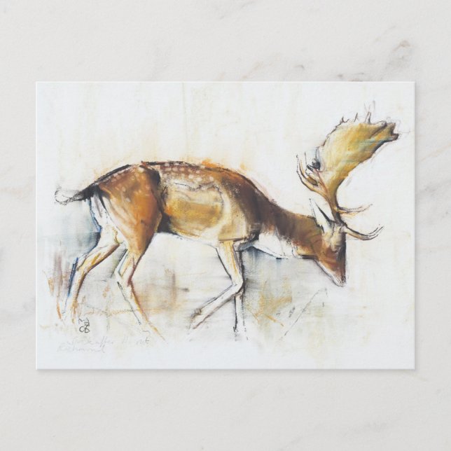 Cartão Postal Pisanello Buck 2006 (Frente)