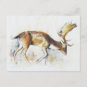 Cartão Postal Pisanello Buck 2006