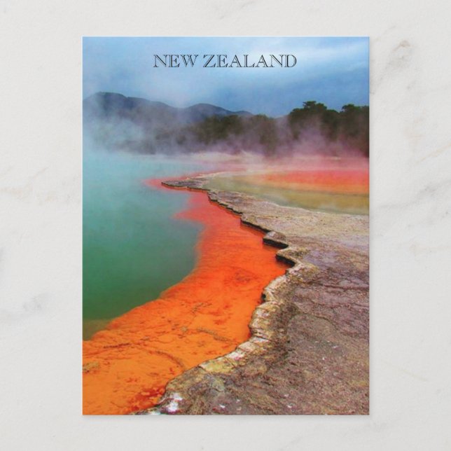 Cartão Postal piscina de champanhe (Frente)