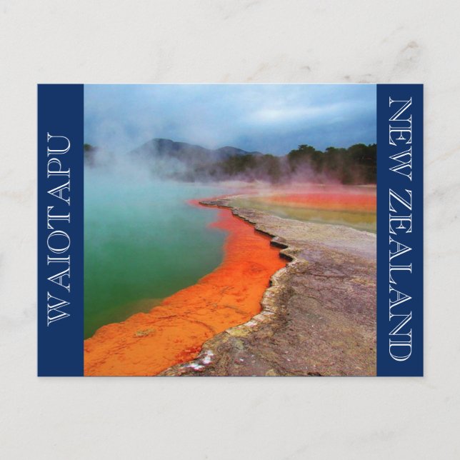 Cartão Postal piscina de champanhe (Frente)