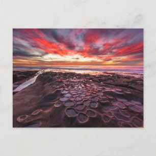 Cartão Postal Piscinas de maré em La Jolla, CA