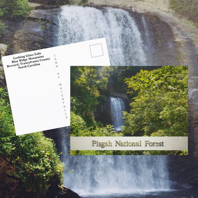 Cartão Postal Pisgah National Forest Blue Ridge Mounties (Criador carregado)