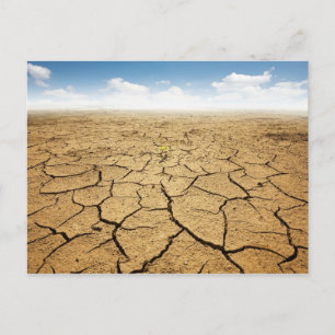 Cartão Postal Piso Deserto Crachado