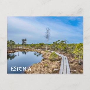 Cartão Postal Pista de madeira sobre o pântano na Estônia
