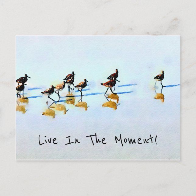 Cartão Postal Pistas de corrida em Hilton Head Beach (Frente)