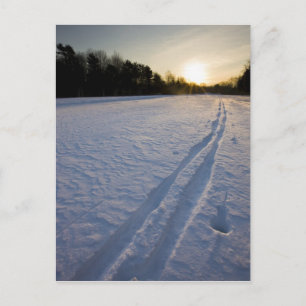 Cartão Postal Pistas de esqui na Willowbrook Farm Preserve em