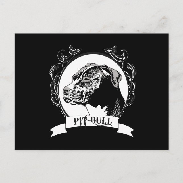 CARTÃO POSTAL PIT BULL (Frente)