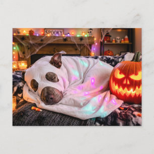 Cartão Postal Pit Bull Dormindo em Fantasia de Fantasma no Hallo
