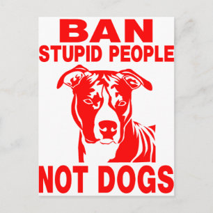 CARTÃO POSTAL PITBULL